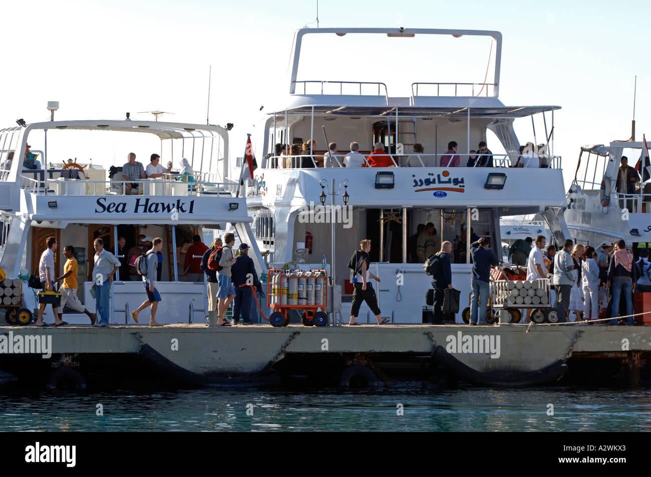 Immersioni a Sharm El Sheikh in Egitto Foto Stock