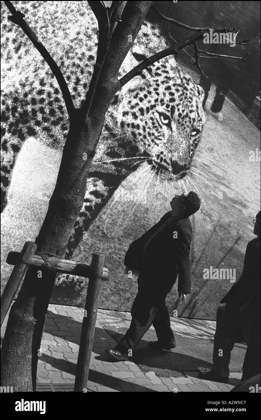 Giapponese pedoni passare a Leopard su un cartellone pubblicitario gioielli Cartier, Ginza, Tokyo, Giappone. Foto Stock
