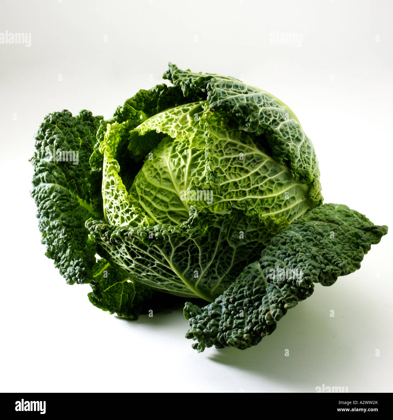 Cavolo Foto Stock
