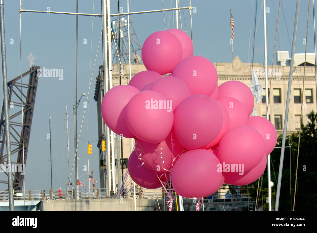 Palloncini Elio Primo Compleanno - Foto 3