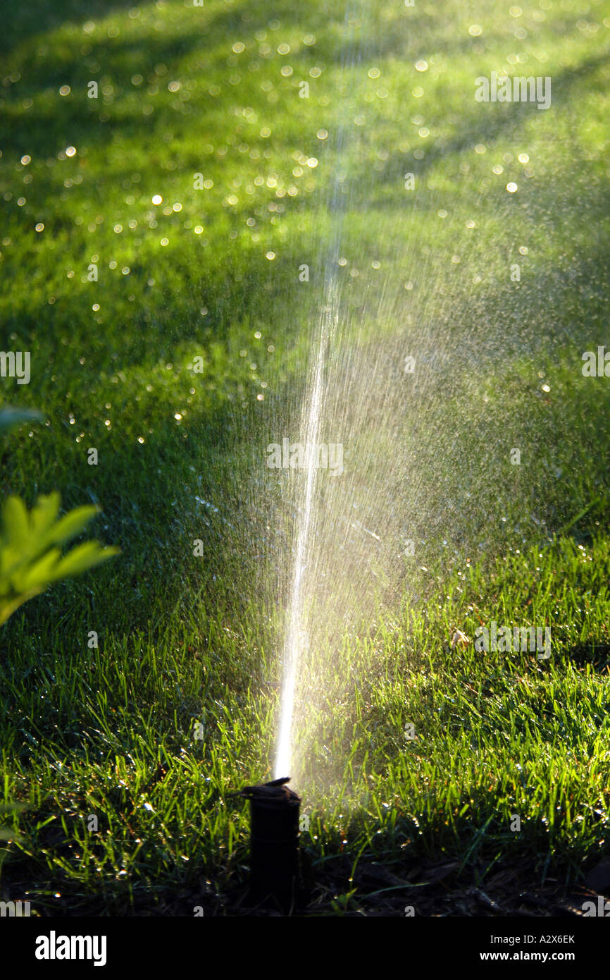 Gli irrigatori facendo il loro lavoro di mantenere l'erba verde d'estate. Foto Stock