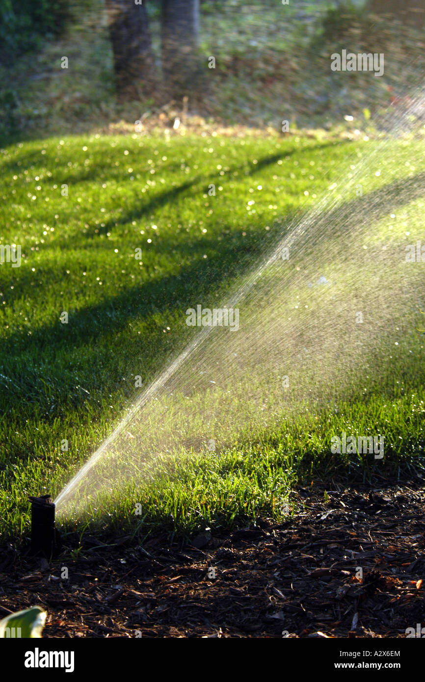 Gli irrigatori facendo il loro lavoro di mantenere l'erba verde d'estate. Foto Stock