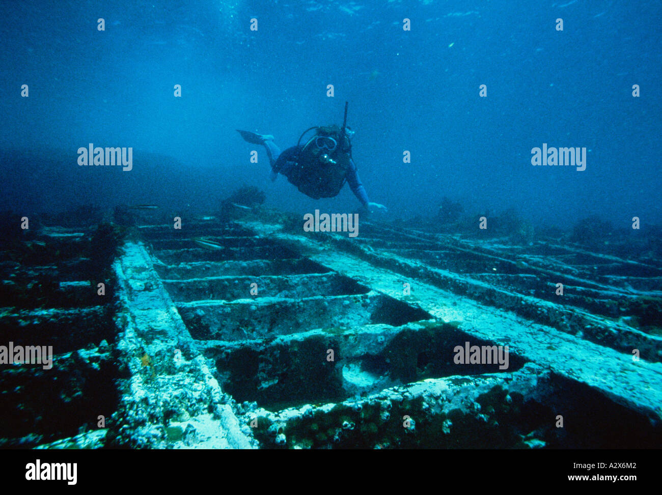 Australia. Nuovo Galles del Sud. Currarong. Diver underwater oltre il relitto della SS Merimbula. Foto Stock