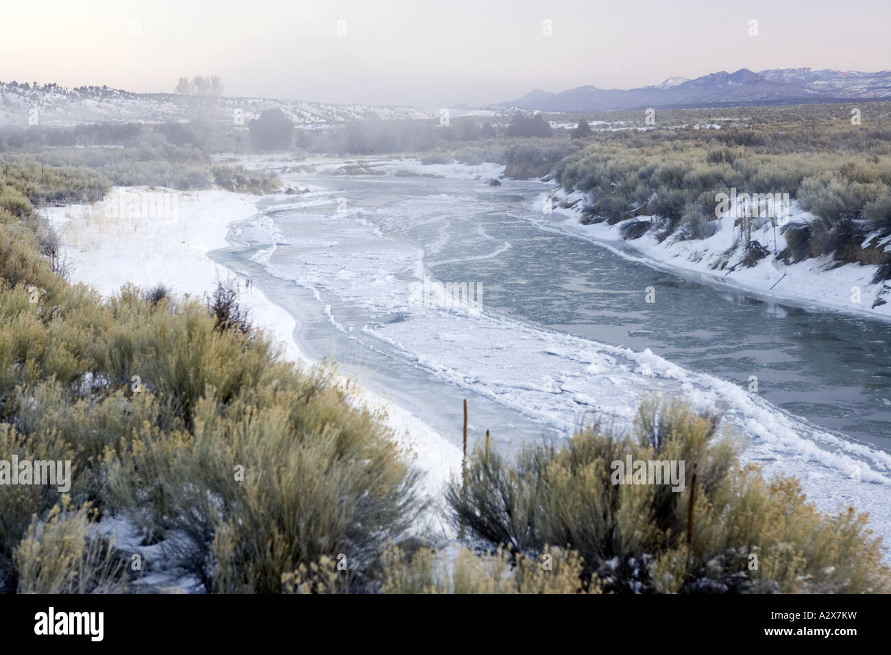 Congelati Fiume Sevier nello Utah Foto Stock