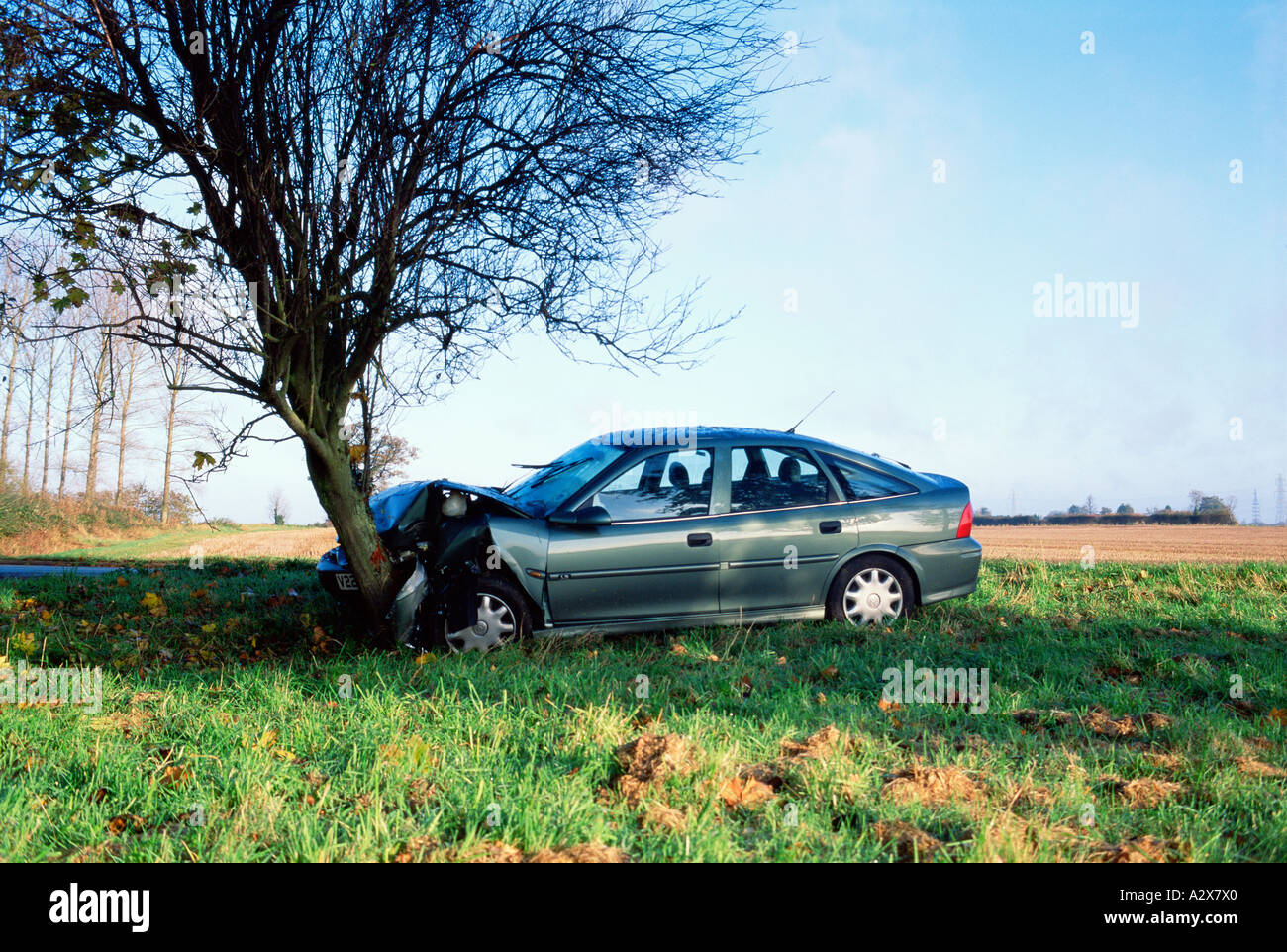 Incidente stradale. Auto rottamata nel colpire tree. Foto Stock