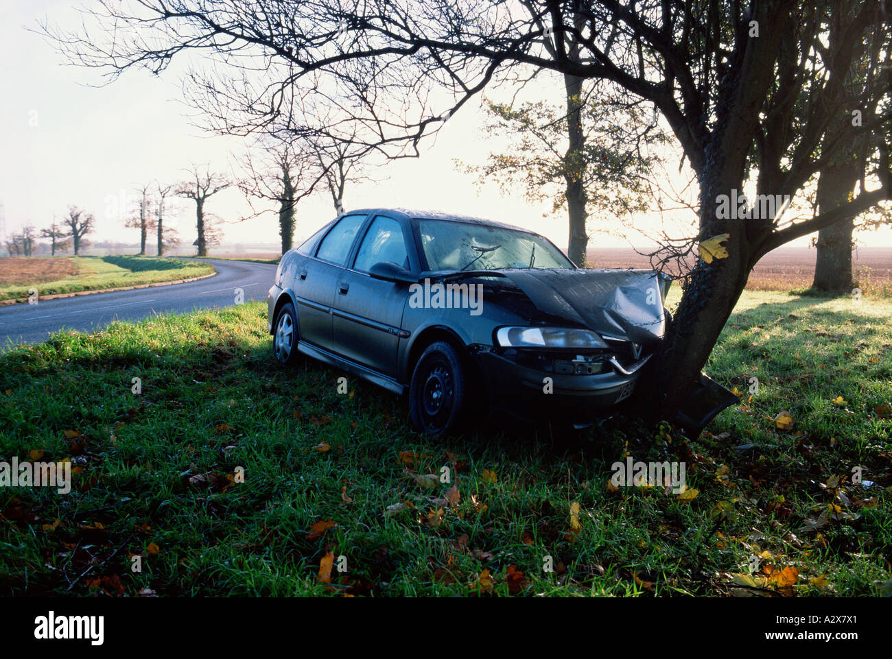 Incidente stradale. Auto rottamata nel colpire tree. Foto Stock