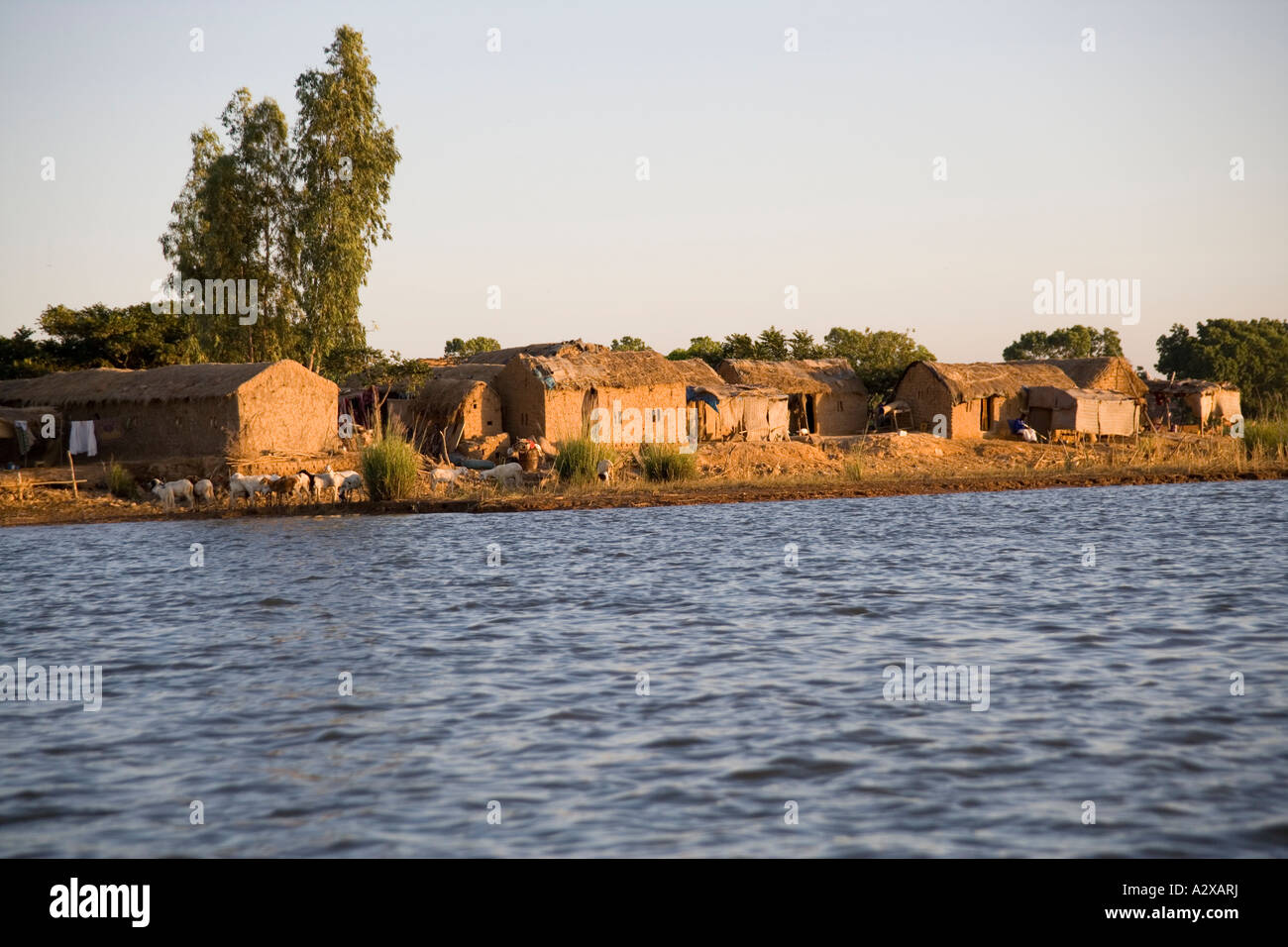 Villaggio di pescatori sulle sponde del fiume Niger vicino a Mopti,Mali,Africa occidentale Foto Stock