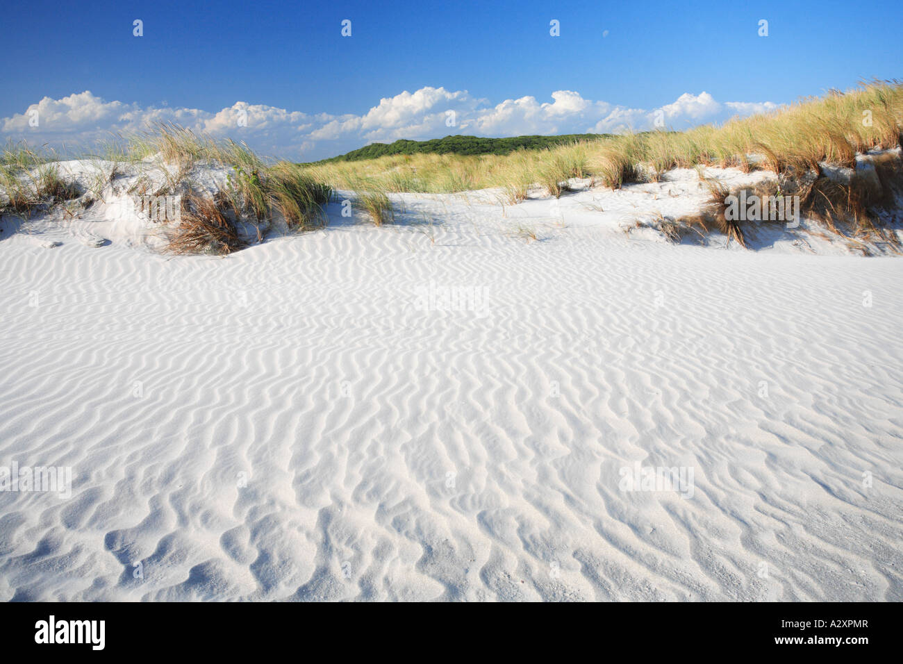 Le dune di sabbia vicino a Danimarca Australia Occidentale Foto Stock
