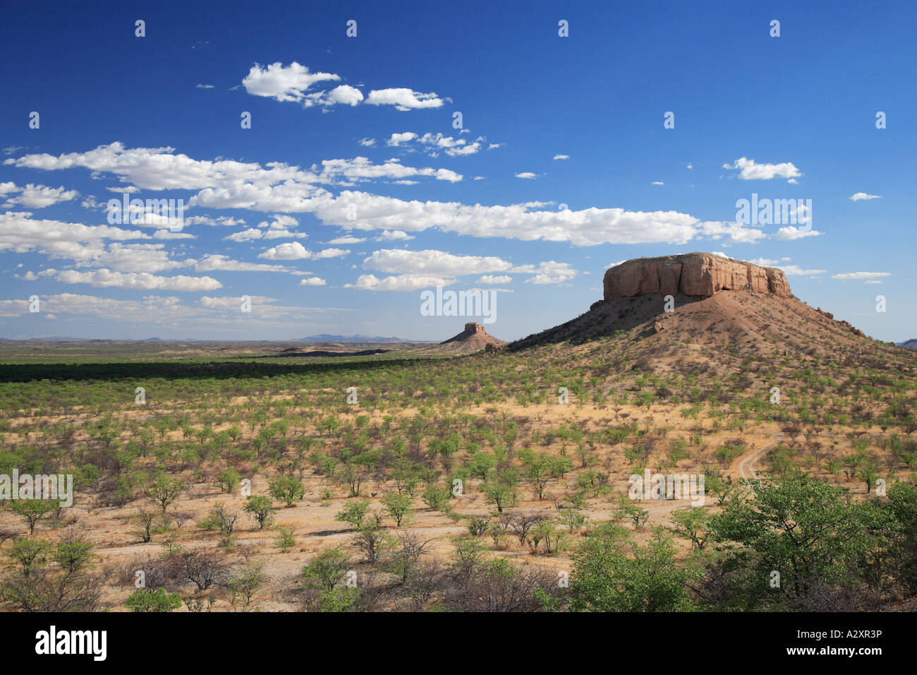 Altopiano vicino vingerklip lodge namibia damaraland Foto Stock