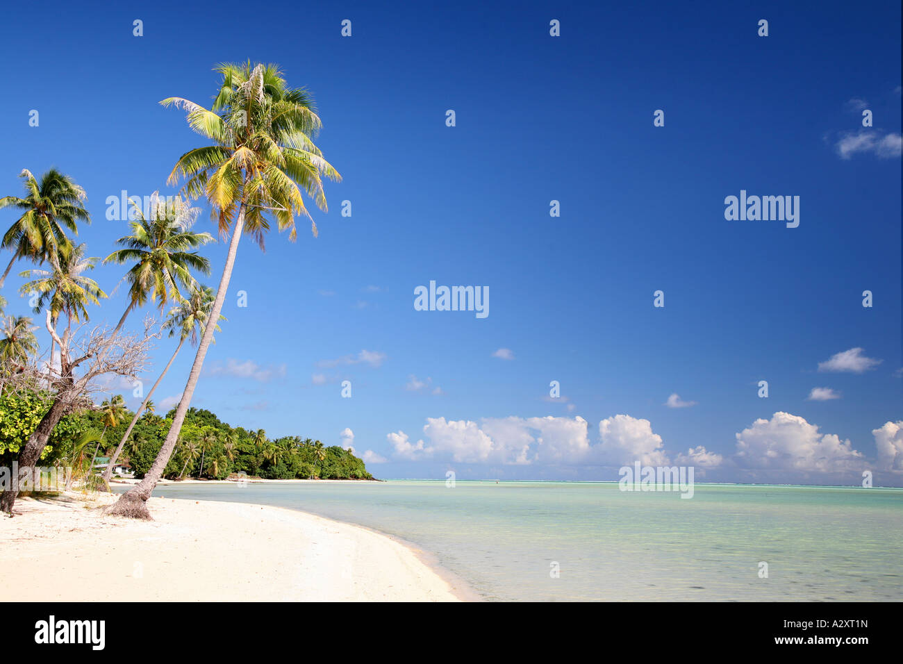 Spiaggia Maupiti Polinesia Francese Foto Stock