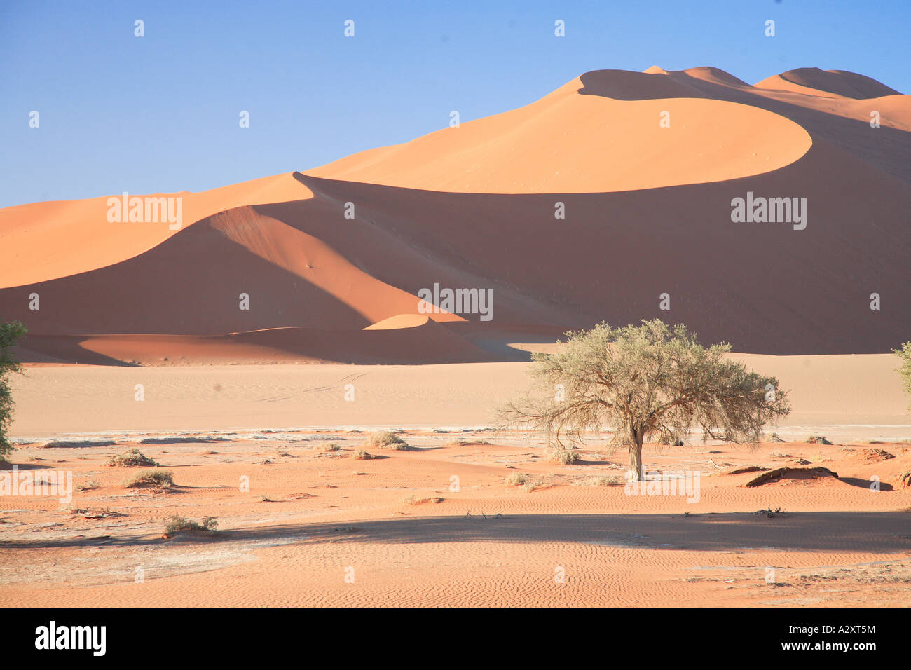 Dune 6 in sossusvlei Namib Desert Namibia Foto Stock