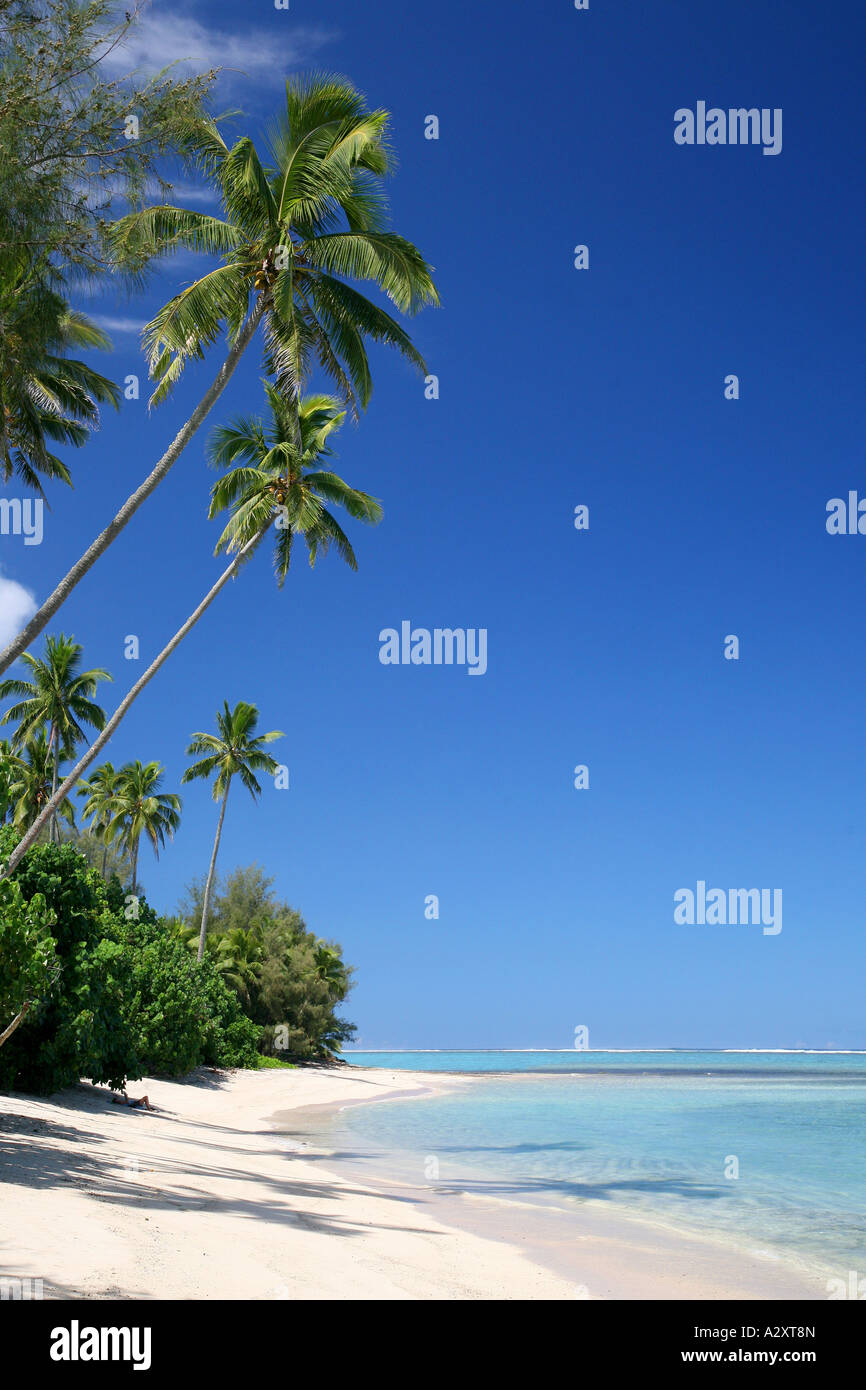 South beach vicino a muri Rarotonga Isole Cook Pacifico Polinesia Foto Stock