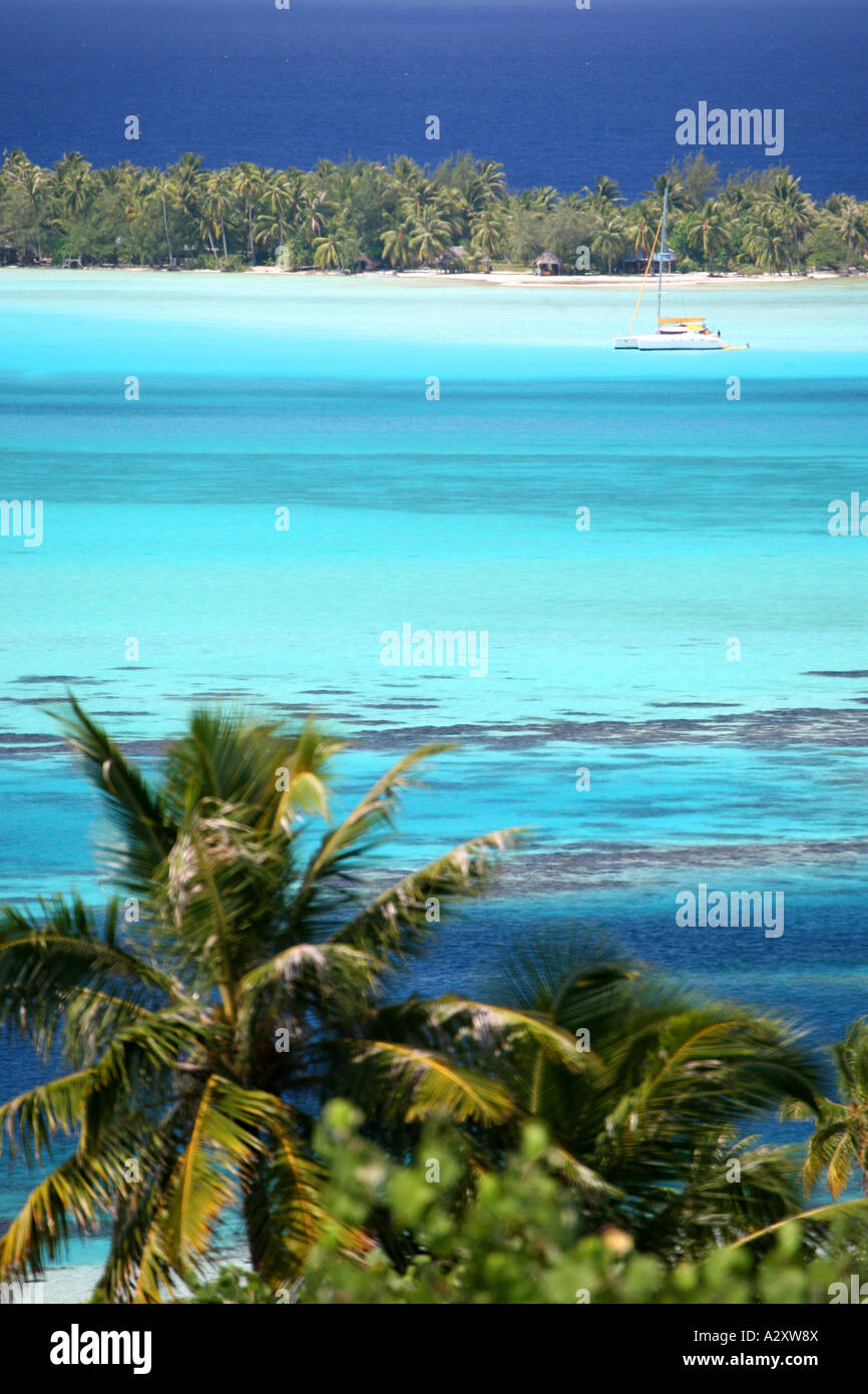 Orlata di palme, laguna Bora Bora Foto Stock