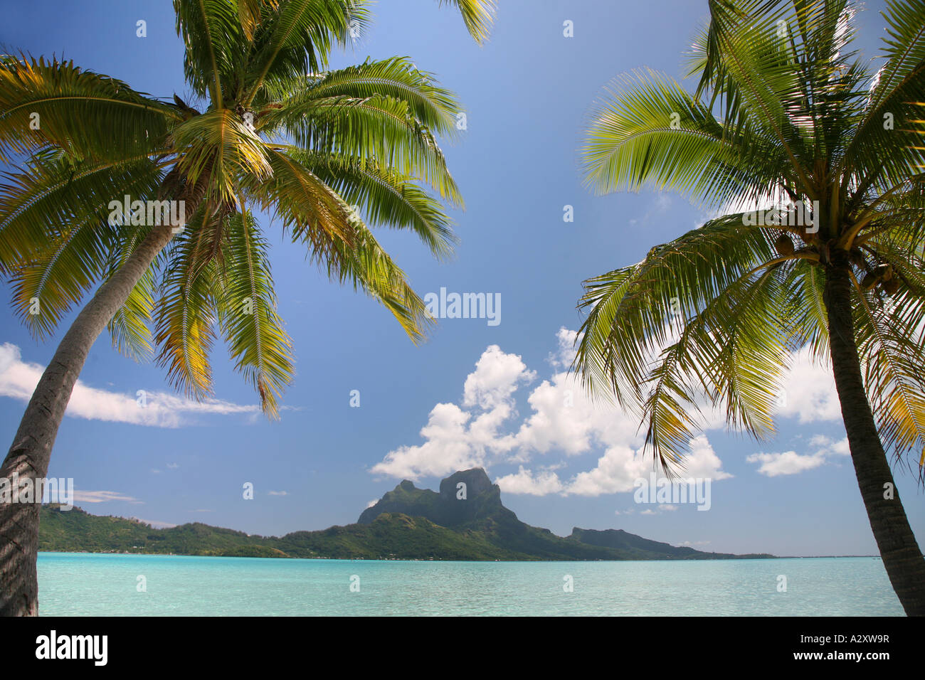 Bora Bora tra palme da motu Foto Stock