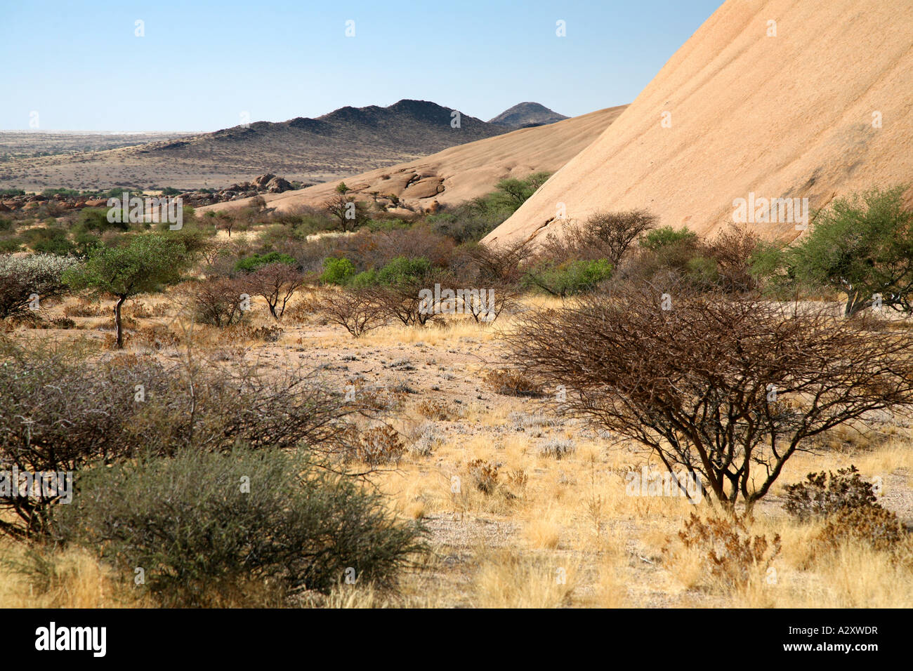 Montagne di Spitzkoppe con capanna di stagno- Erongo Matterhorn della Namibia in Africa Foto Stock