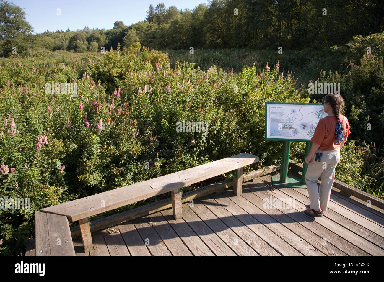 Donna lettura segno interpretativa Campbell Valley Regional Park Langley Canada Foto Stock