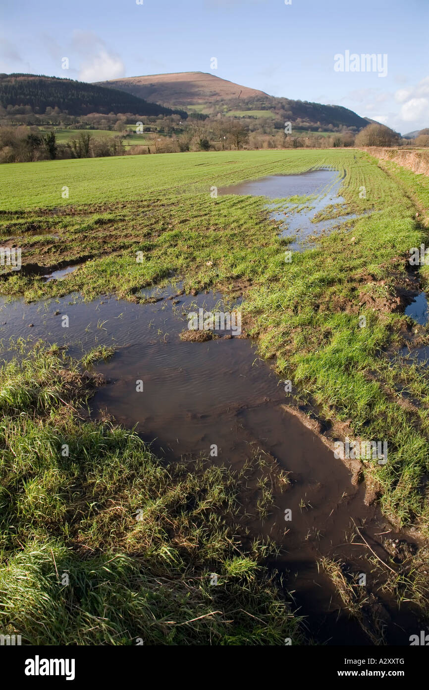 Campi allagati Abergavenny Wales UK Foto Stock