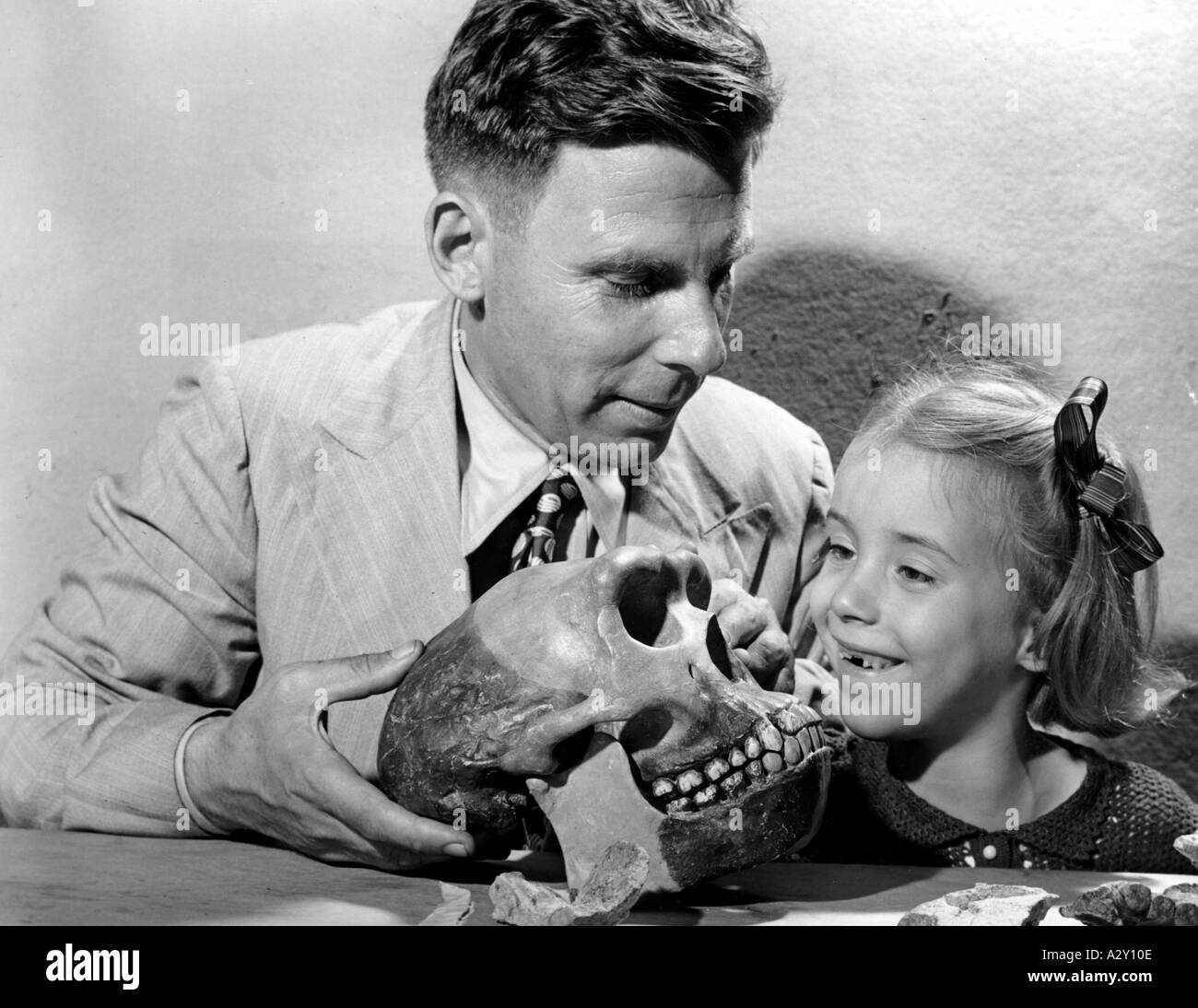 Poco prima dell'attacco giapponese a Pearl Harbor nel 1941 il paleontologo Gustav Koenigswald scoprì i resti di un primate Java ha nascosto la scoperta prima di essere catturato dai giapponesi che hanno anche portato Java qui che viene visto mostrare il cranio del gigante giavanese a sua figlia al New York Museum of Natural History Kurz vor dem Japanischen Ueberfall auf Pearl Harbor im Jahre 1941 entdeckt der Palaeontologe Gustav Koenigswald auf Java die Ueberreste eines Primaten er versteckt den Fund bevor er von den Japanern die auch Java einnehmen gefangenommen wird Hier zeigt er Seiner Tochter Foto Stock