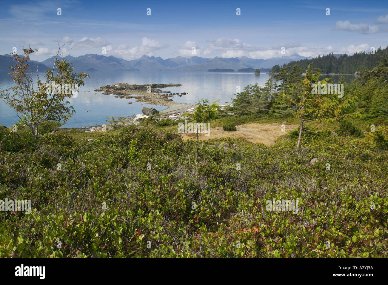 Gwaii Haanas National Park Reserve Queen Charlotte Islands British Columbia Canada Hotspring Isola Gandl K in Gwaayaay Foto Stock