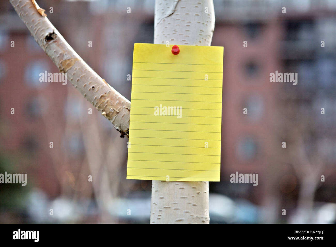 Si noti il segno in bianco Foto Stock