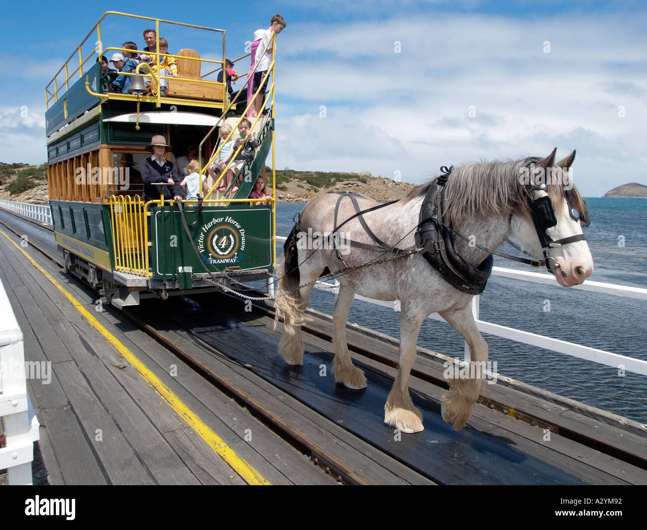 Causeway a cavallo tirato in tram per granite island da Victor Harbor Fleurieu Peninsula South Australia Foto Stock