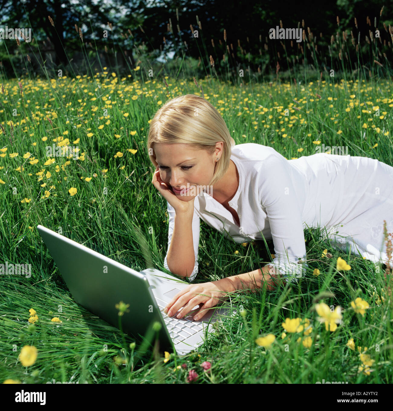 Donna che utilizza computer portatile nel campo Foto Stock