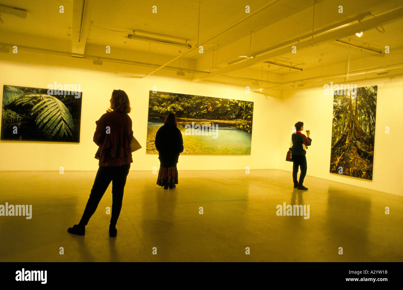 La visualizzazione all'Angela fiori galleria d'arte, una mostra di boyd evans Foto Stock