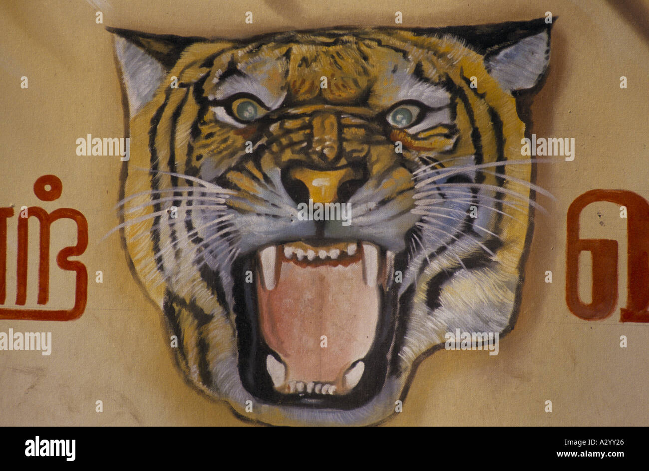 Il ululano Tiger l emblema delle tigri tamil dipinta su un muro a Jaffna Foto Stock