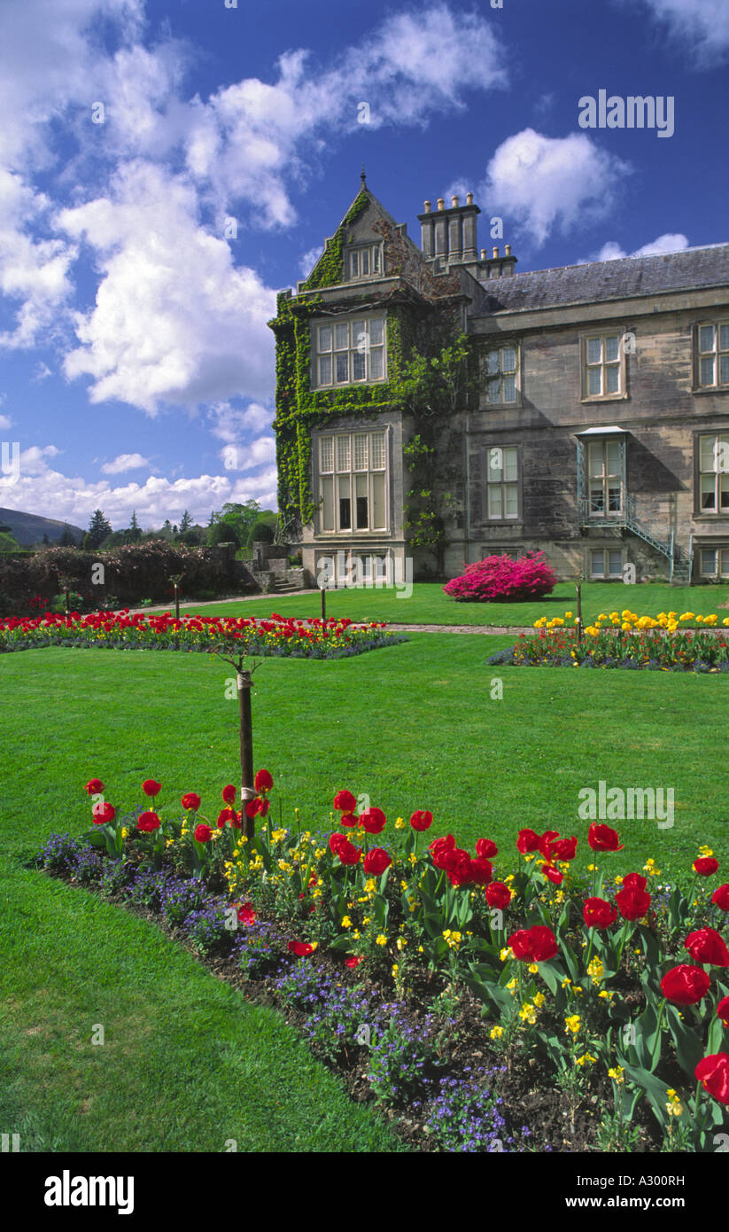 Fiori d'estate nel giardino di Muckross House. Parco Nazionale di Killarney, nella contea di Kerry, Irlanda. Foto Stock