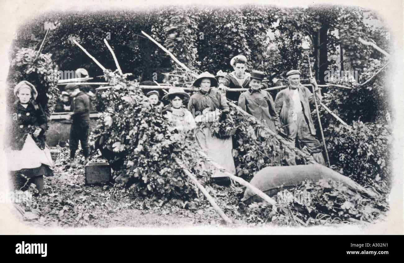 Raccoglitrici di luppolo 1900 Foto Stock