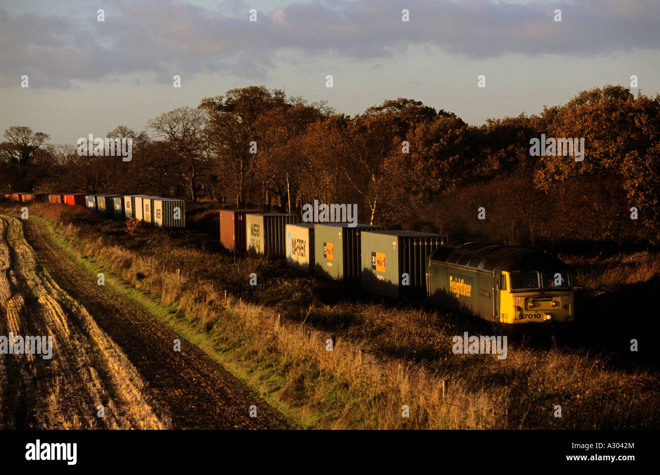 Freightliner treno merci sul Ipswich al porto di Felixstowe linea di ramificazione a Levington, Suffolk, Regno Unito. Foto Stock