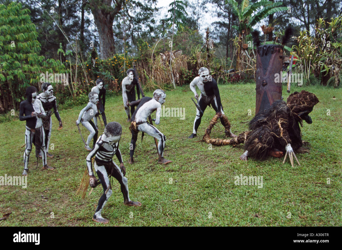 Omo scheletro Masilai tribù di eseguire nel villaggio Omo Villaggio Masilai Goroka Papua Nuova Guinea Foto Stock