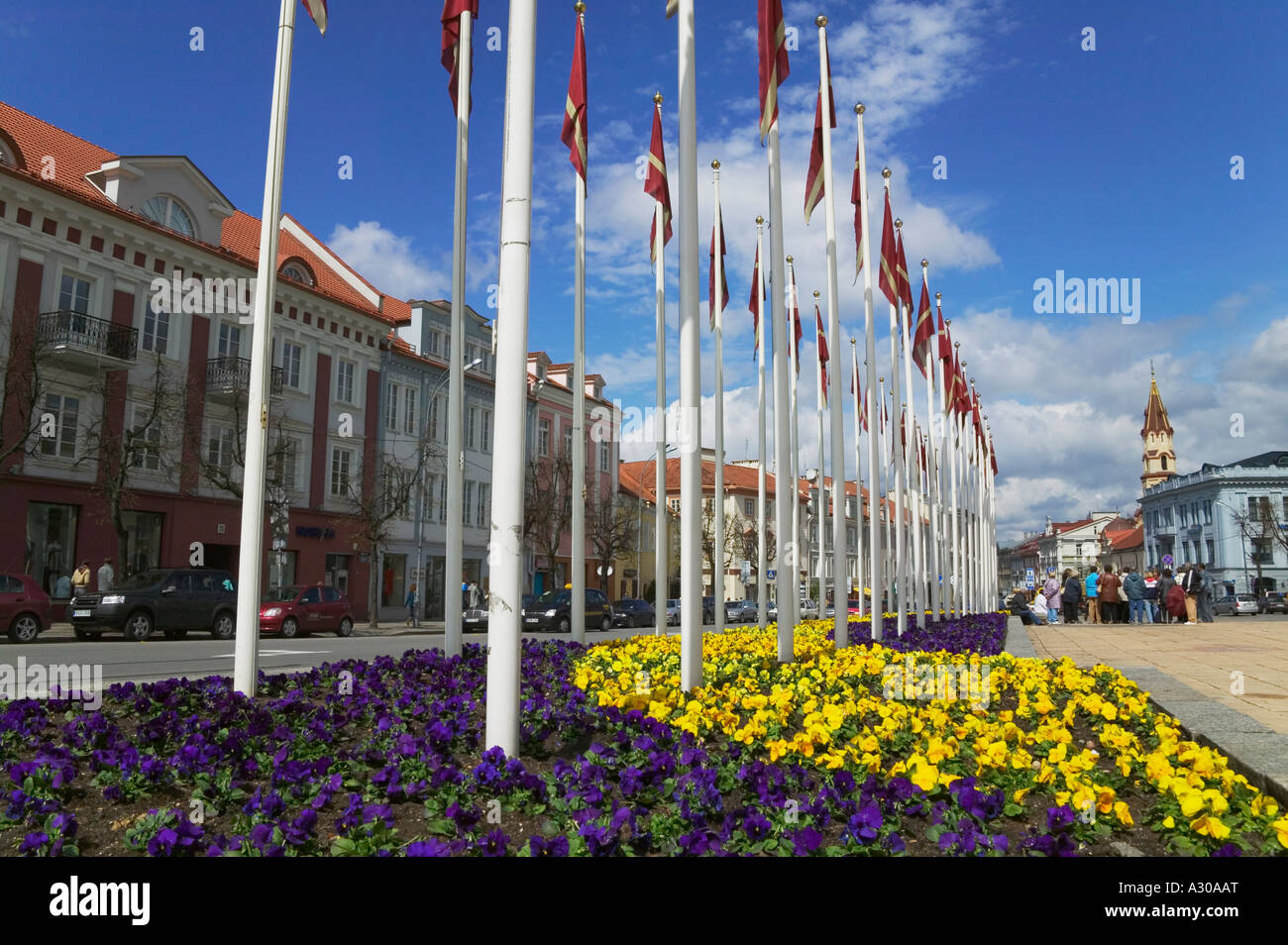 Bandiera poli nella piazza del Municipio di Vilnius Lituania Foto Stock