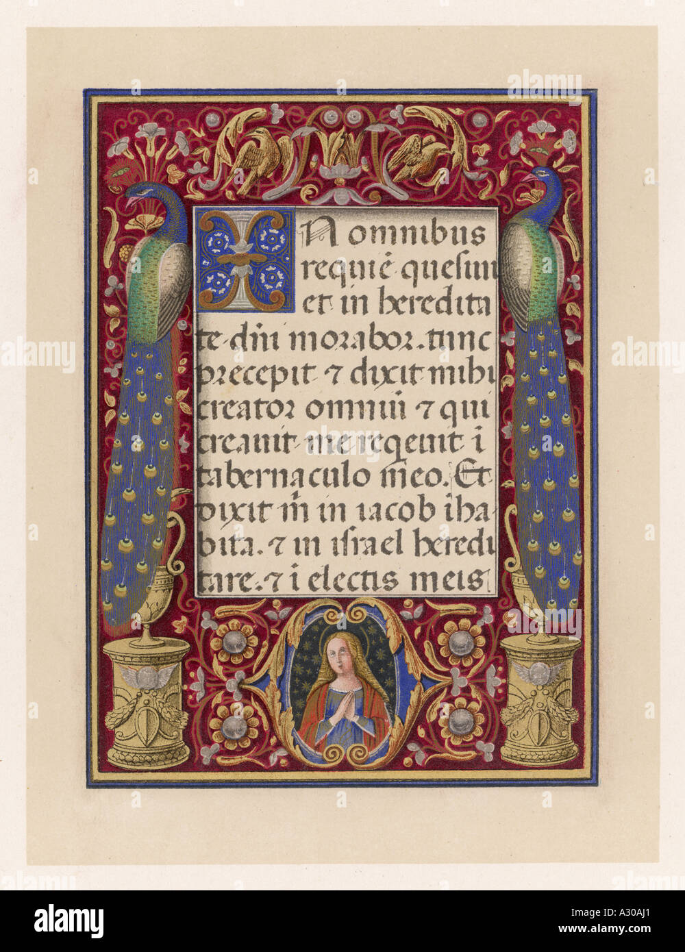 Ms Libro d Ore Foto Stock