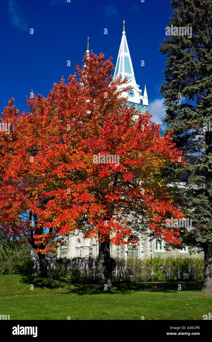 Rosso brillante aceri al di fuori della twin spired chiesa a Farnham in Estrie Quebec Foto Stock