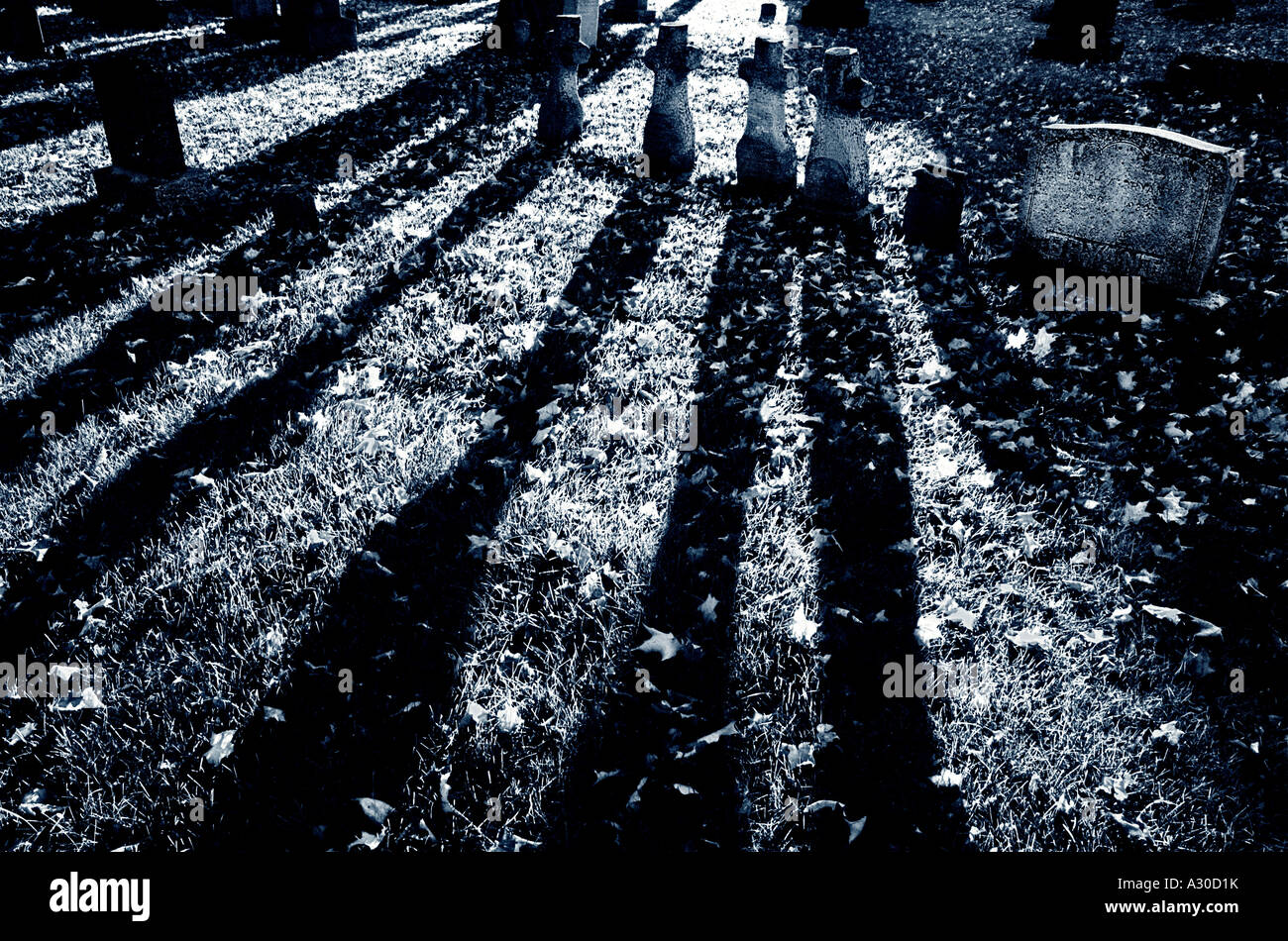 Forti ombre da quattro a forma di croce le lapidi in un cimitero di Farnham Estrie Quebec Foto Stock