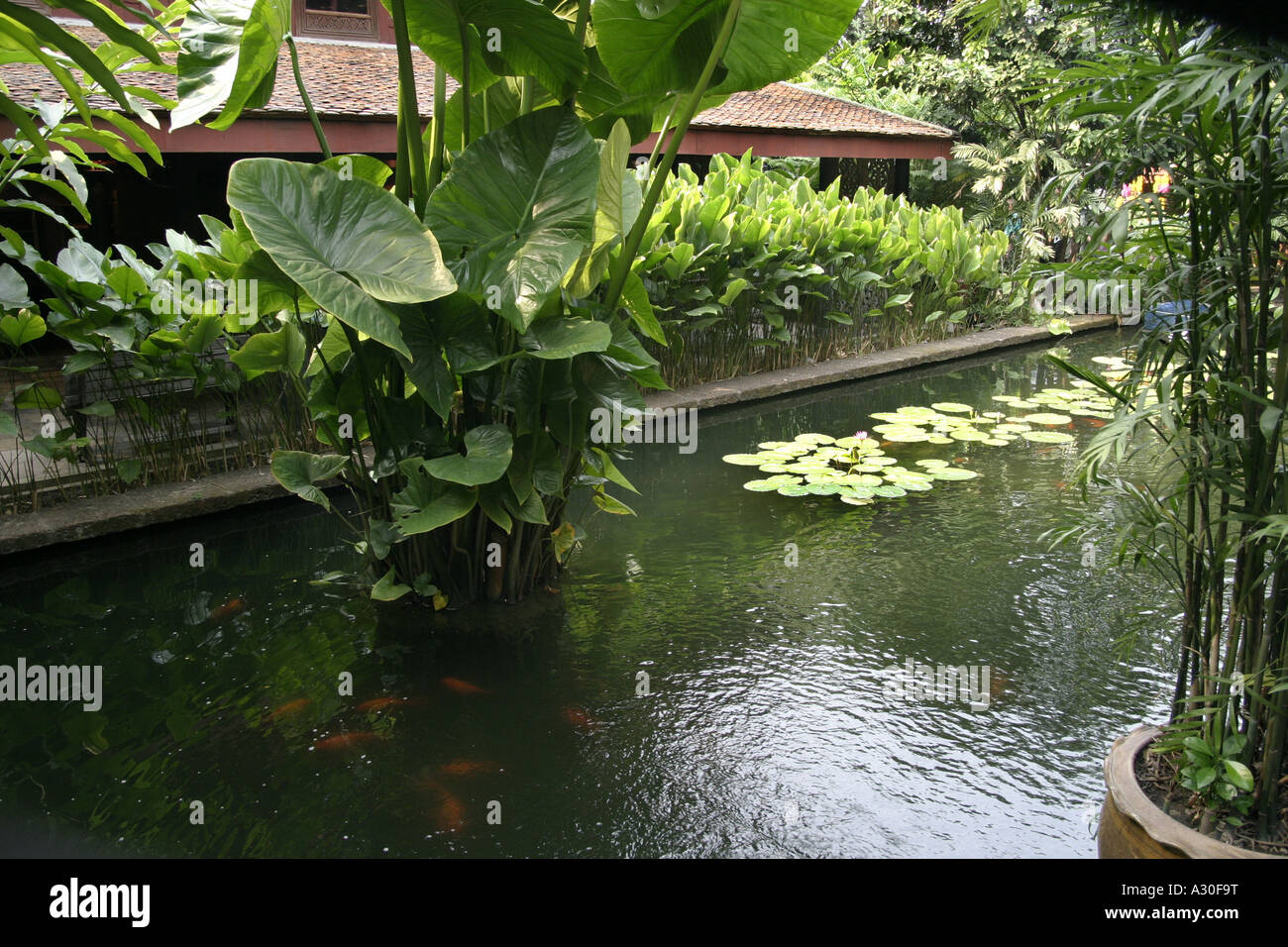 Jim Thompson House Museum e Giardini Bangkok in Thailandia Foto Stock