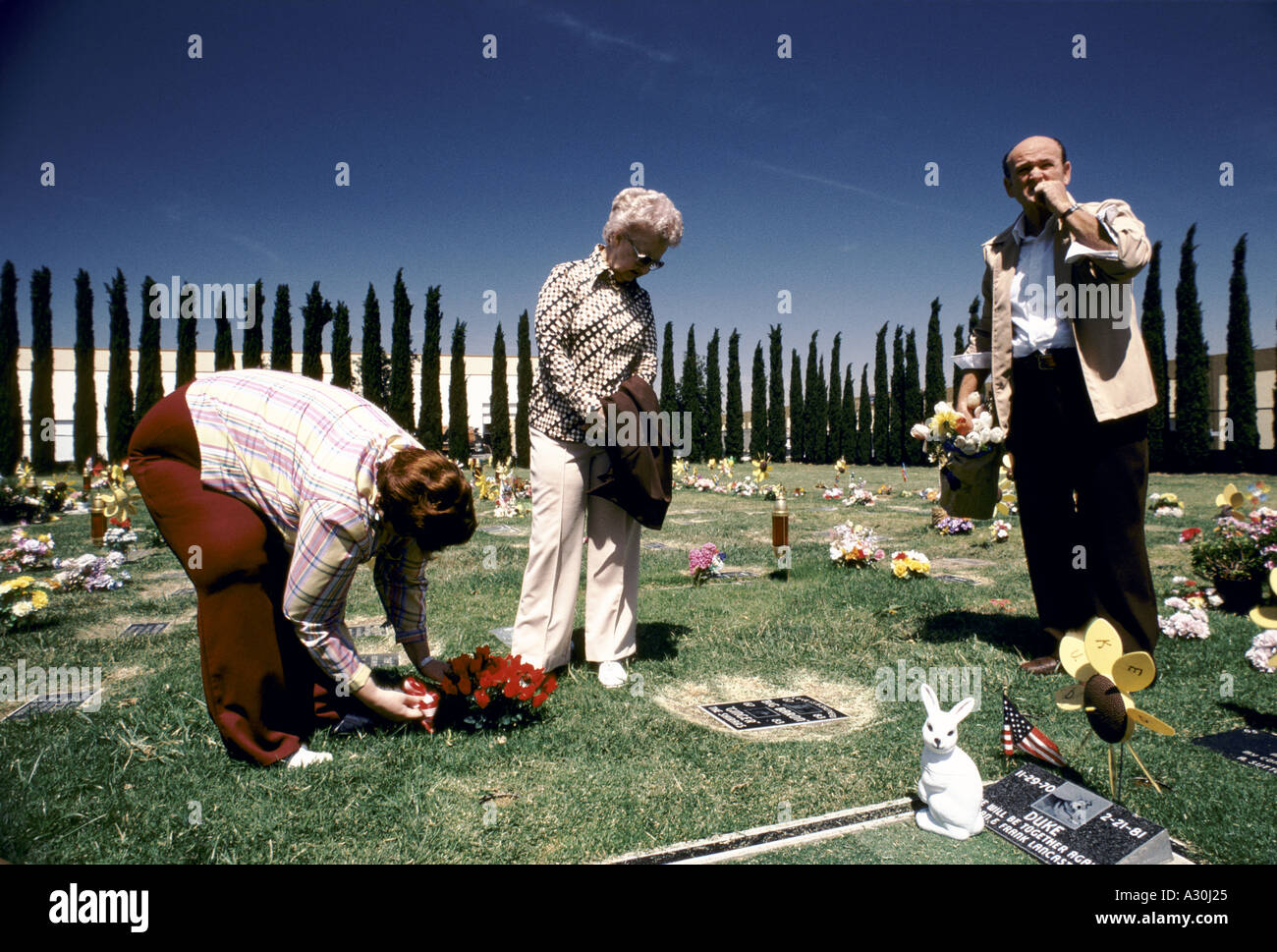 Il cimitero di pet los angeles 1984 Foto Stock