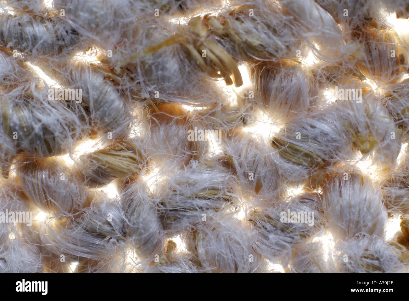 Immagine macro di manufatti in tessuto di lino Foto Stock