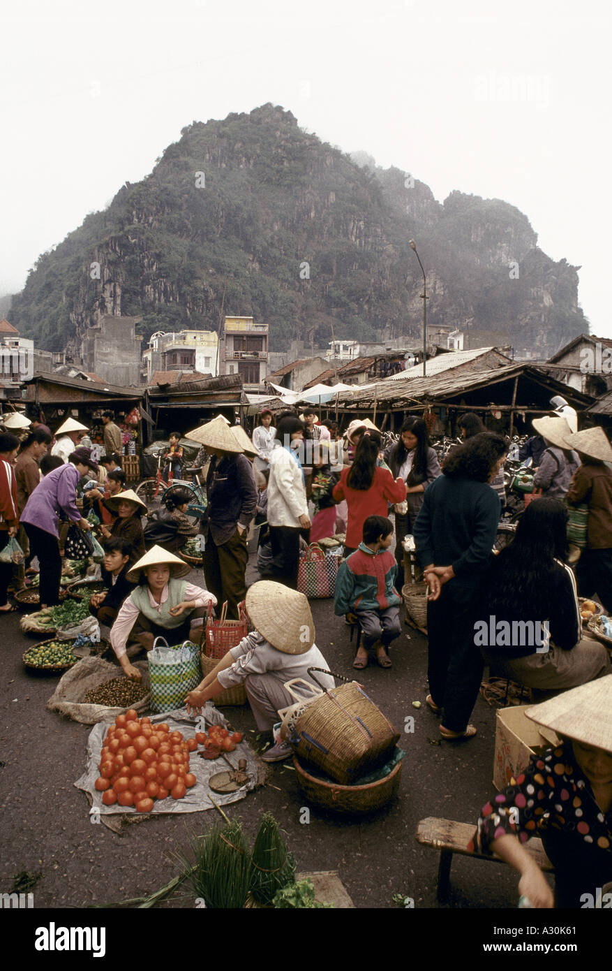 Il Vietnam 1994 Vietnam del nord la piccola cittadina di pescatori di han gai halong donne vendere verdure a stallo del mercato 1994 Foto Stock