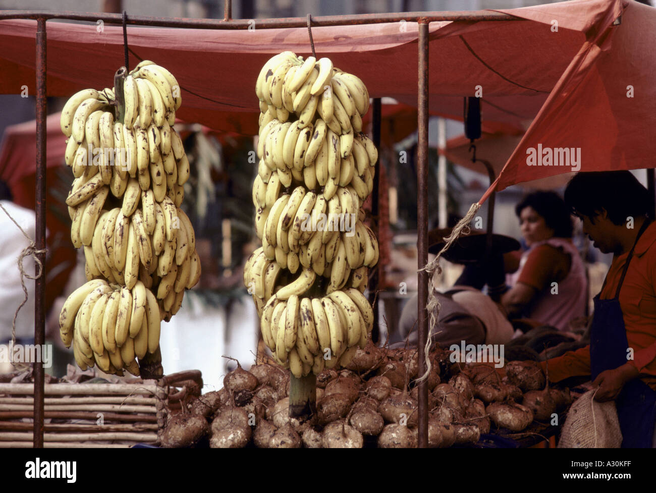 Banane appeso su un mercato in stallo il Messico 1981 Foto Stock