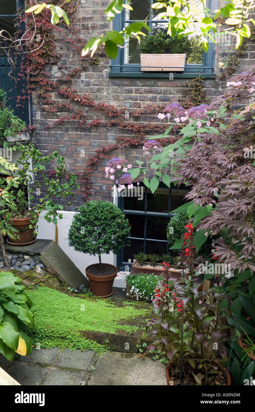 Ivy cresce su muratura in lastricato giardino di Londra Foto Stock