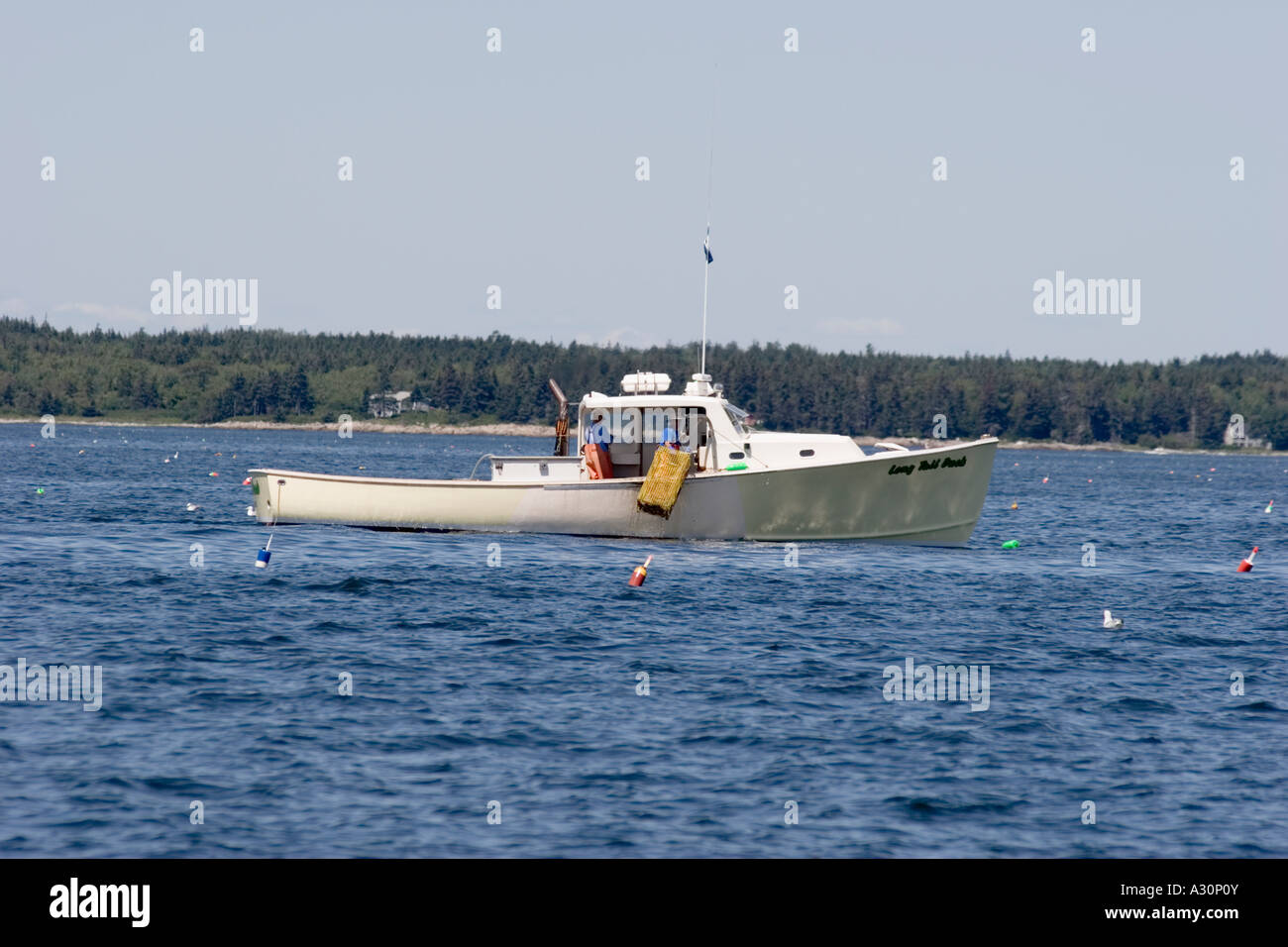 Lobsterboat long tail DUCK di zanzara che porto il lavoro Muscongus Bay, Maine Foto Stock