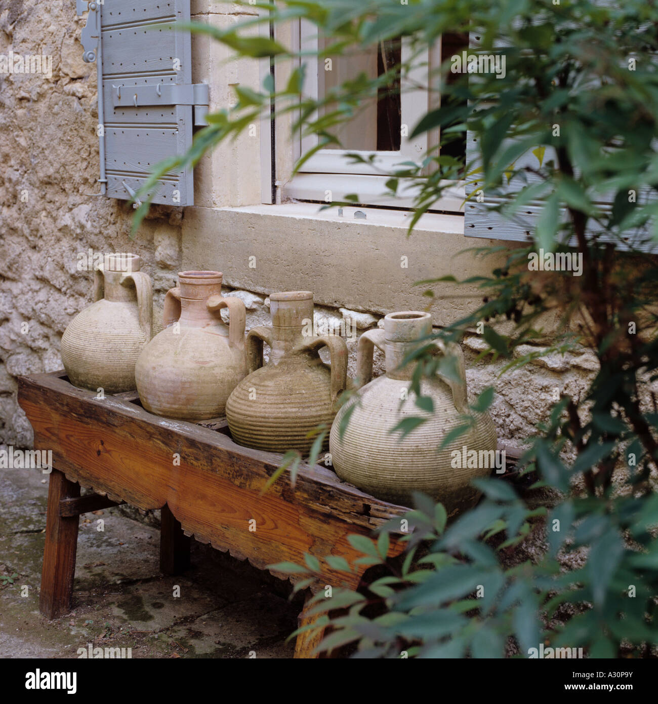 Quattro vasi di argilla in un trogolo di legno sotto una finestra con persiane Foto Stock