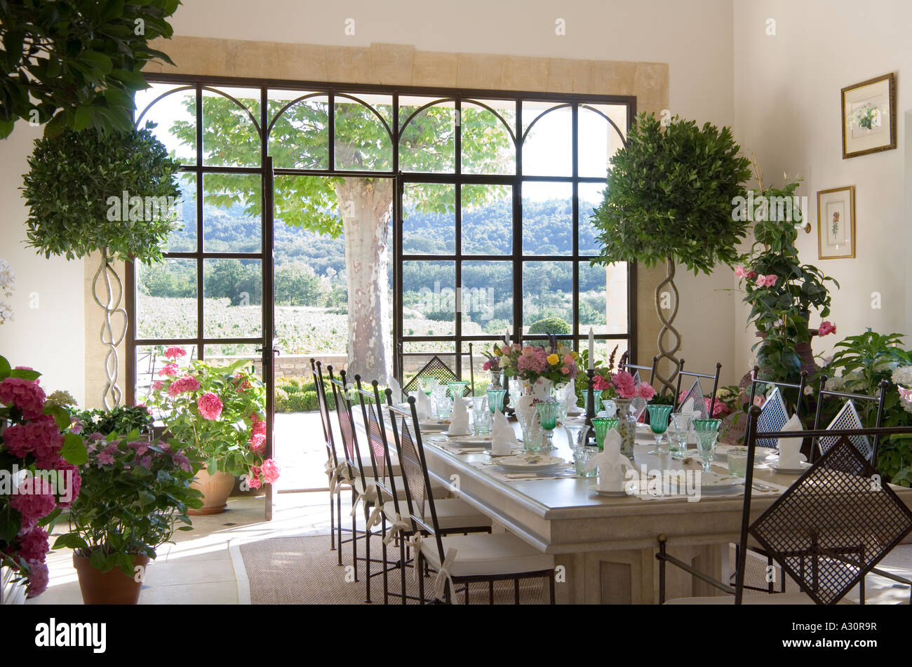 Tavolo da pranzo insieme in camera con houseplants Foto Stock