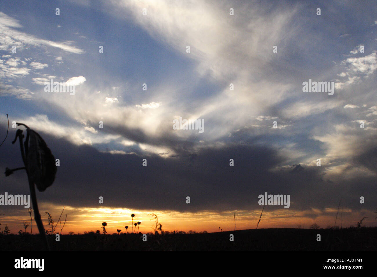 Tramonto perfetto. Foto Stock