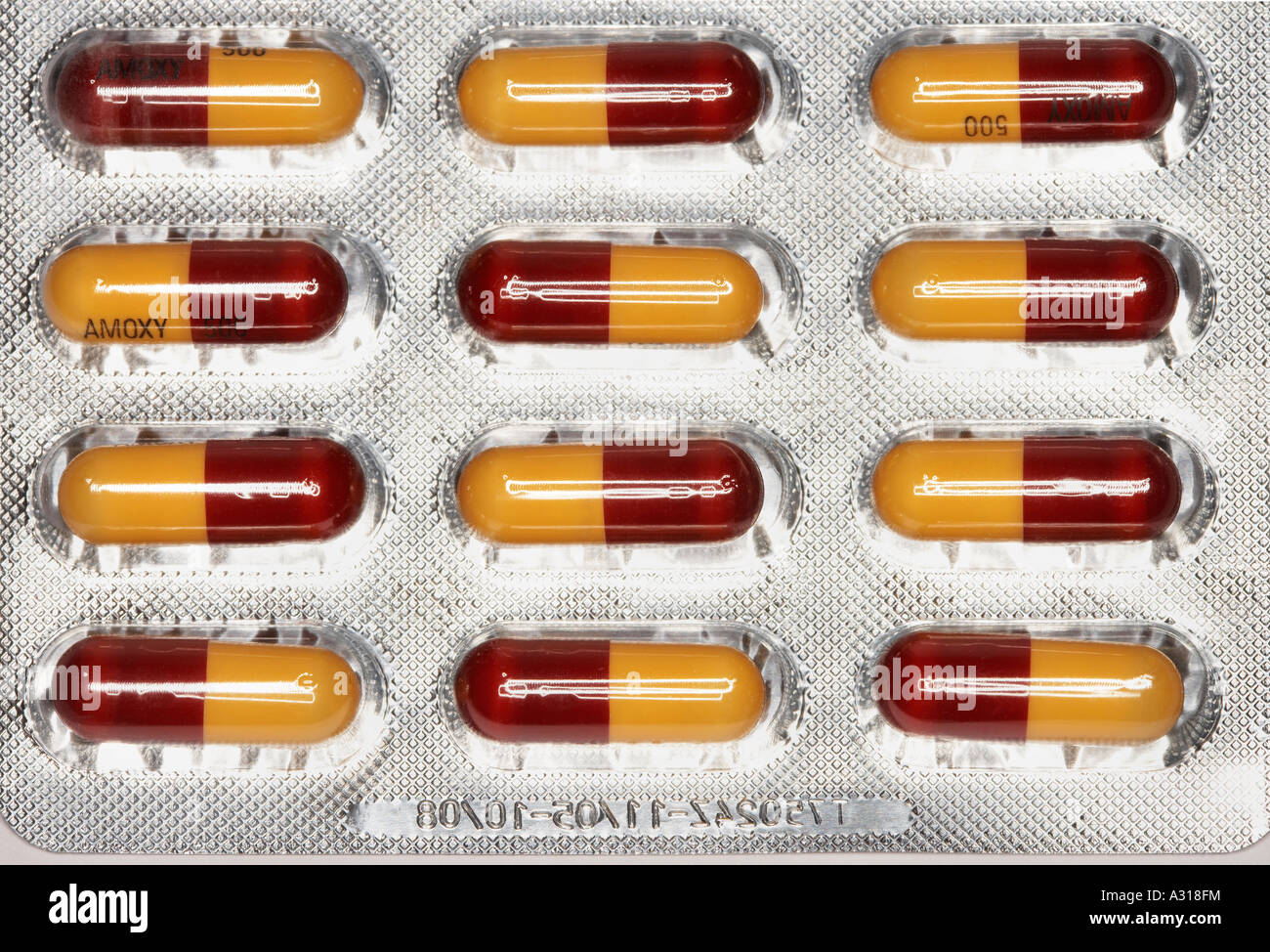 Amoxicillina antibiotici (in 500 mg capsule), in una confezione in blister Foto Stock