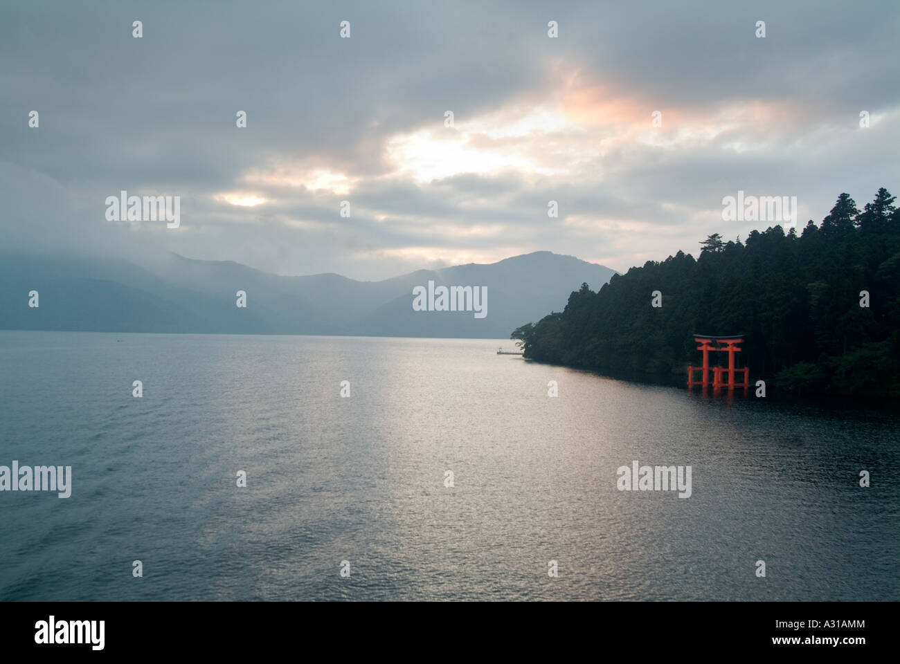 Torii (gate) del Santuario di Hakone, ai piedi del Monte Komagatake. Fuji-Hakone-Izu National Park. Hakone, nella prefettura di Kanagawa. Giappone Foto Stock