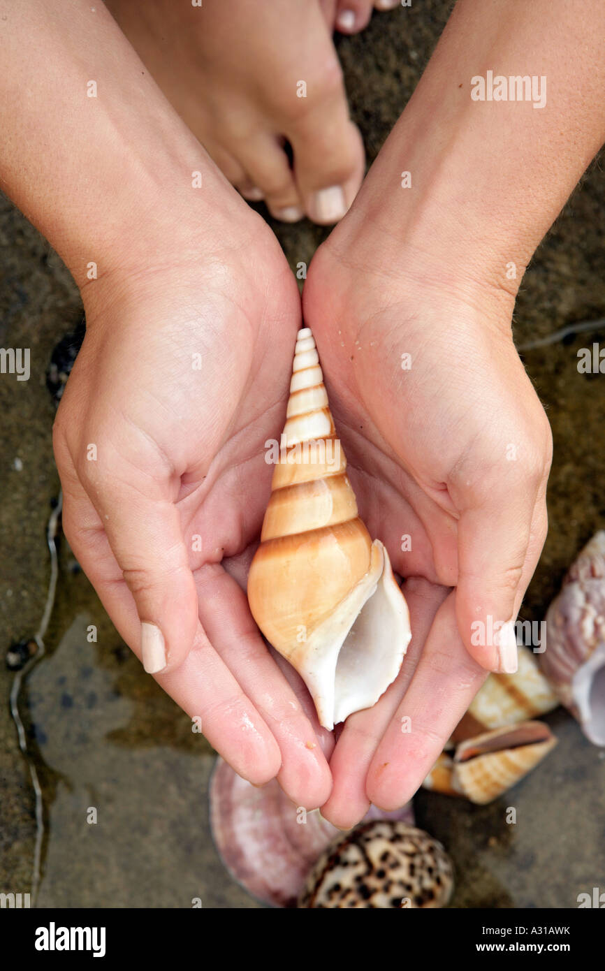 Close up di un guscio in un womans palms. Foto Stock