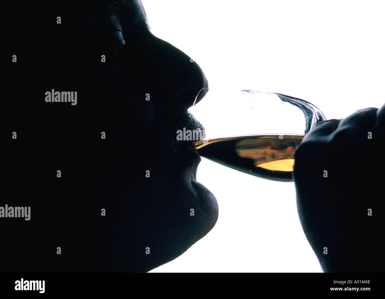 Degustazione un malto singolo Foto Stock